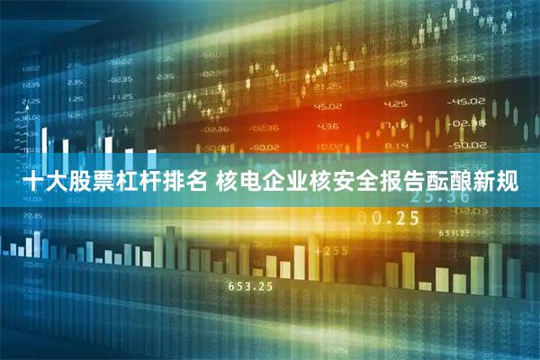 十大股票杠杆排名 核电企业核安全报告酝酿新规