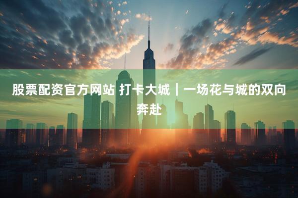 股票配资官方网站 打卡大城｜一场花与城的双向奔赴